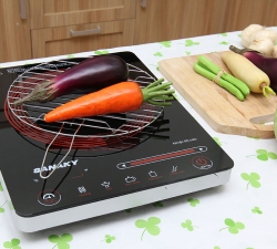 Bếp hồng ngoại Sanaky SNK2102HG