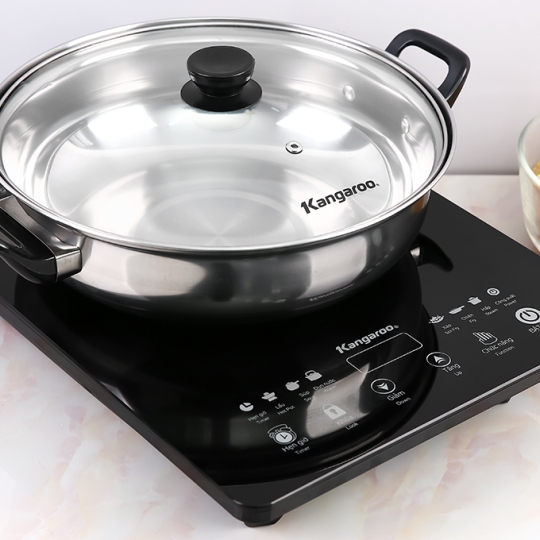 Bếp điện từ Kangaroo KG18IH2